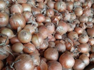 I will sell onion kal.5+
