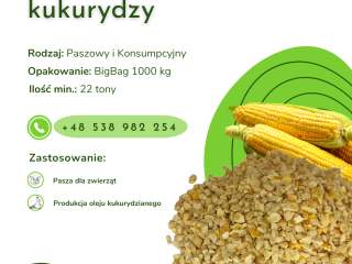 CORN GERM We offer a continuous sale of corn