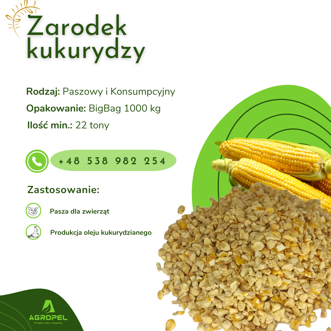CORN GERM We offer a continuous sale of corn germ