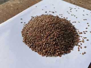 LLC Smoleńsk Agro Export eksportuje siemię lniane żółte i