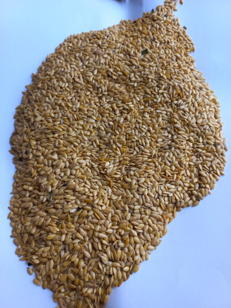 LLC Smoleńsk Agro Export eksportuje siemię lniane żółte i brązowe pochodzenia rosyjskiego DAP kraje UE