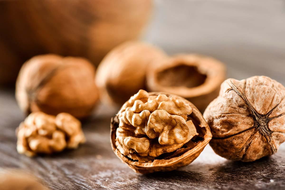 We are a direct exporter of walnuts from Ukraine