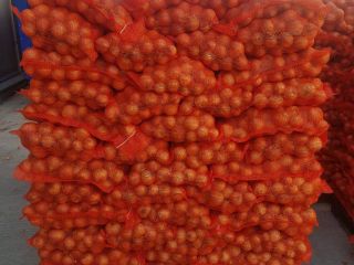ONIONS FOR SALE (5+Calibre): 100% Romanian Eco I quality