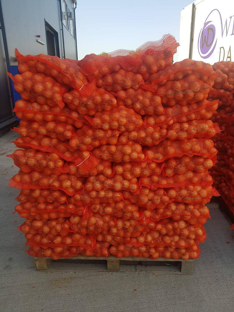 ONIONS FOR SALE (5+Calibre): 100% Romanian Eco I quality Yellow onion - 0,47€/ kg Red onion - 0,50€/ kg Packaging in 10kg bags Produced in Romania Personal