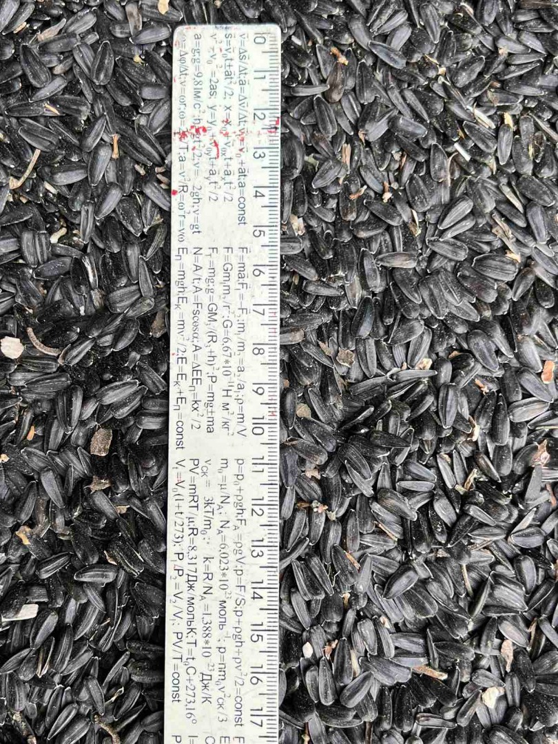 SUNFLOWER SEEDS Quality: Oil content: 49.7% Moisture: up to 8.0% Clogging: up to 3.0% CALL: OR WhatsApp/Viber/Telegram