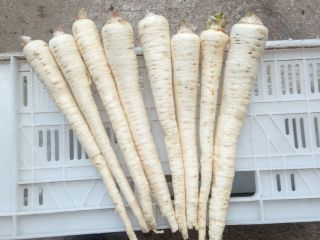 Hello, I am selling parsley washed to order, packaging