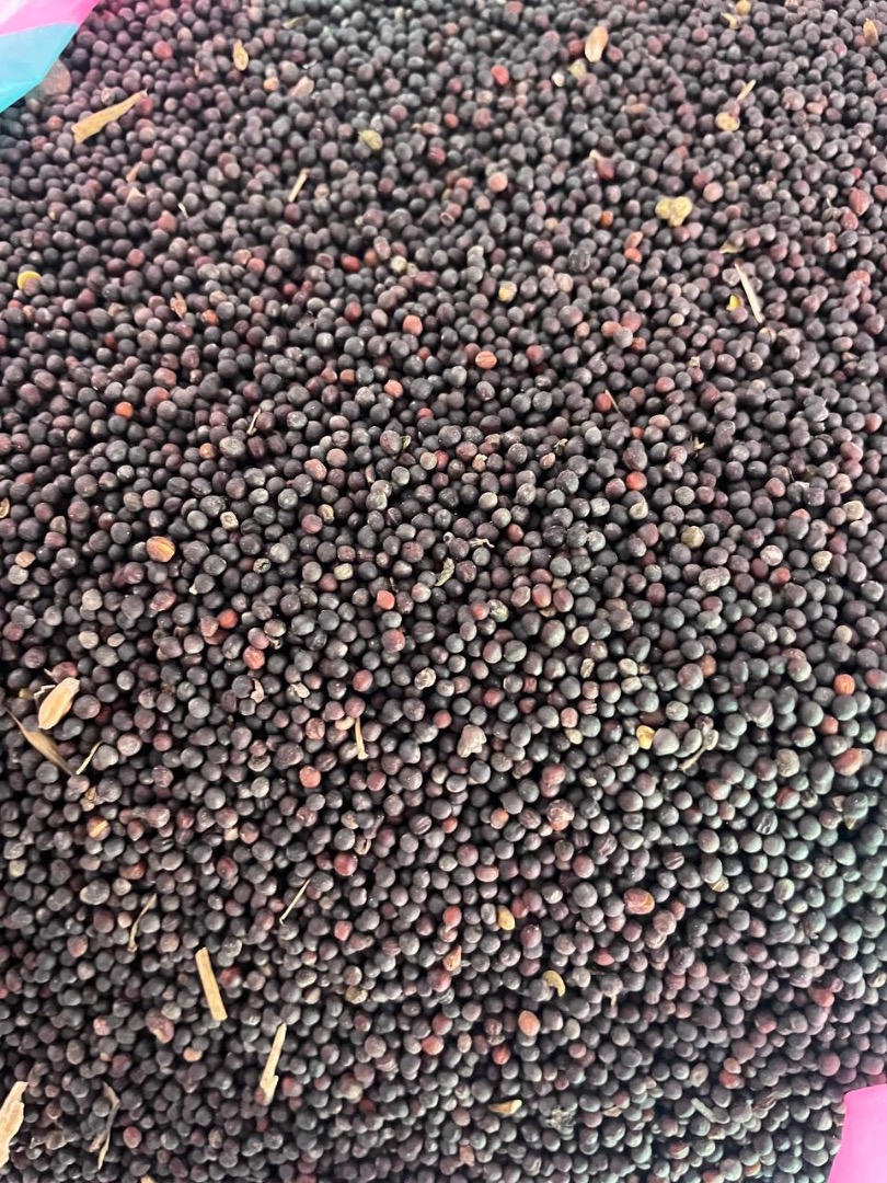 A Polish company sells rapeseed of Ukrainian origin with delivery
