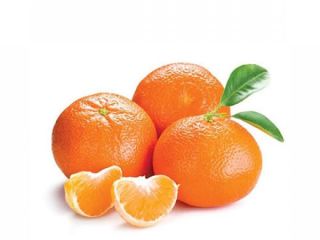 Clementine mandarin for sale.
