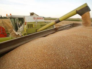 We sell Wheat Call the indicated number!