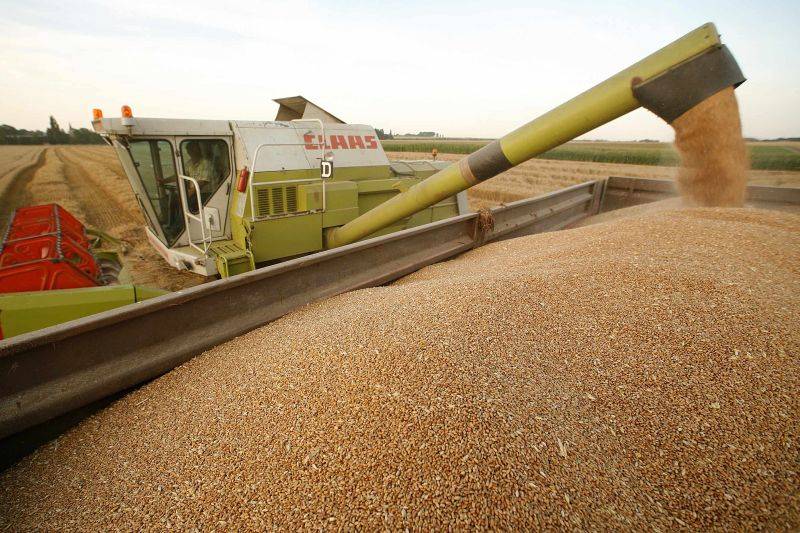 We sell Wheat Call the indicated number!