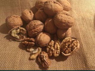 Walnut for sale ecology, hand-picked this year I will