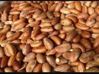 Contact me for your affordable organic west African Bitter