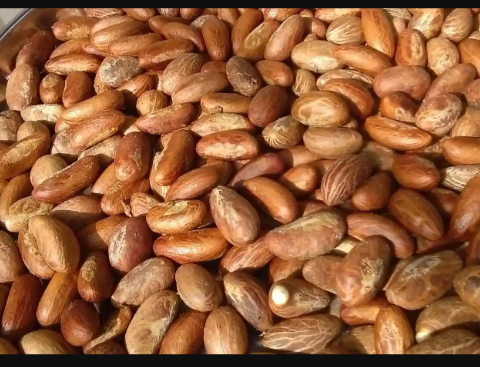 Contact me for your affordable organic west African Bitter kola and Alligator pepper (dried)