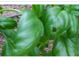 We export grain, wheat, barley, cassava, Soya bean, turmeric,