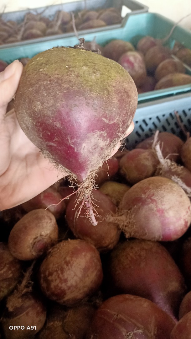 I will sell beetroot, I have about a ton of my own production, no residues, no spraying