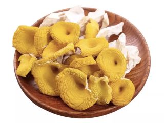 Ekolojik olarak temiz yerlerde toptan toplanan kurutulmuş Cantharellus cibarius