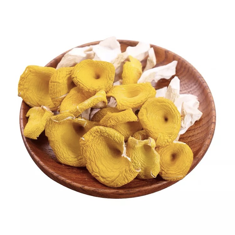 Ekolojik olarak temiz yerlerde toptan toplanan kurutulmuş Cantharellus cibarius mantarı birinci sınıf Dried chanterelle mushroom whole top grade collected in