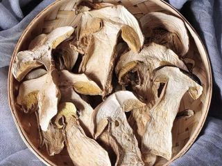 Toptan Boletus Luteus Mantarı / Kurutulmuş Boletus Mantarı Ekolojik