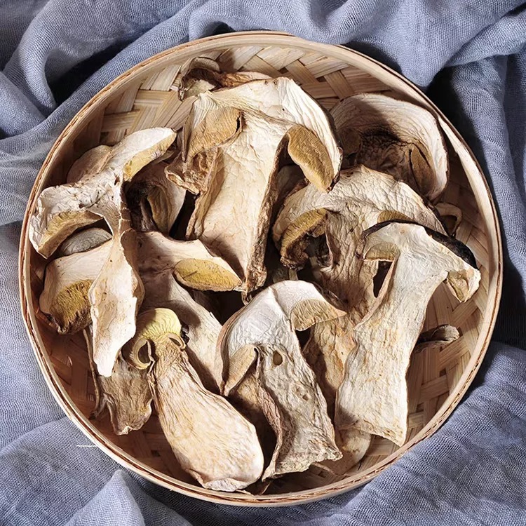 Toptan Boletus Luteus Mantarı / Kurutulmuş Boletus Mantarı Ekolojik olarak temiz yerlerde toptan toplanır Wholesale Boletus Luteus Mushroom / Dried Boletus