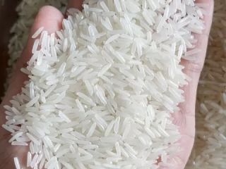 Toptan En İyi Pirinç ST 25 Organik Pirinç Wholesale