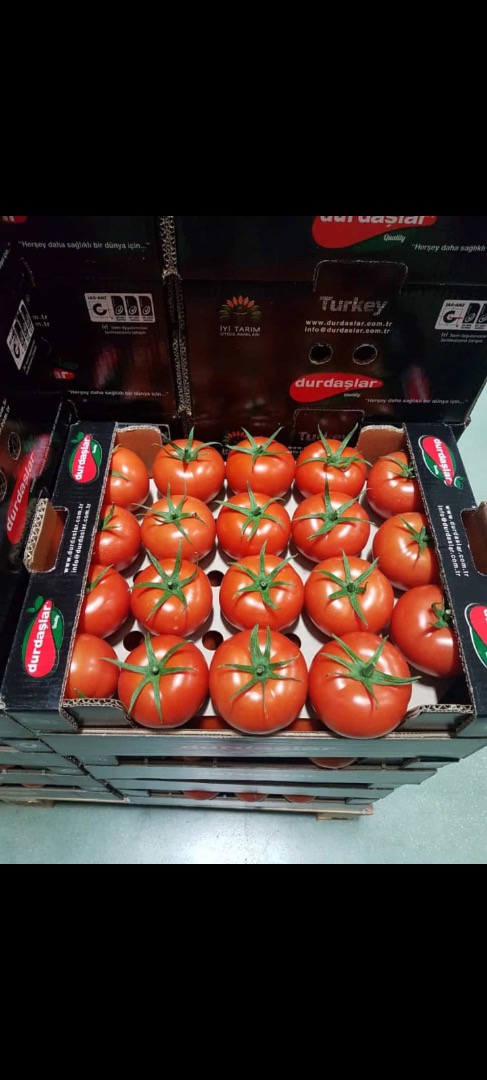 Hello Our region Kumluca is a region of tomato ,so we specialise On it and also: cucumber,eggplant,pepper,zucchini and pomegranate