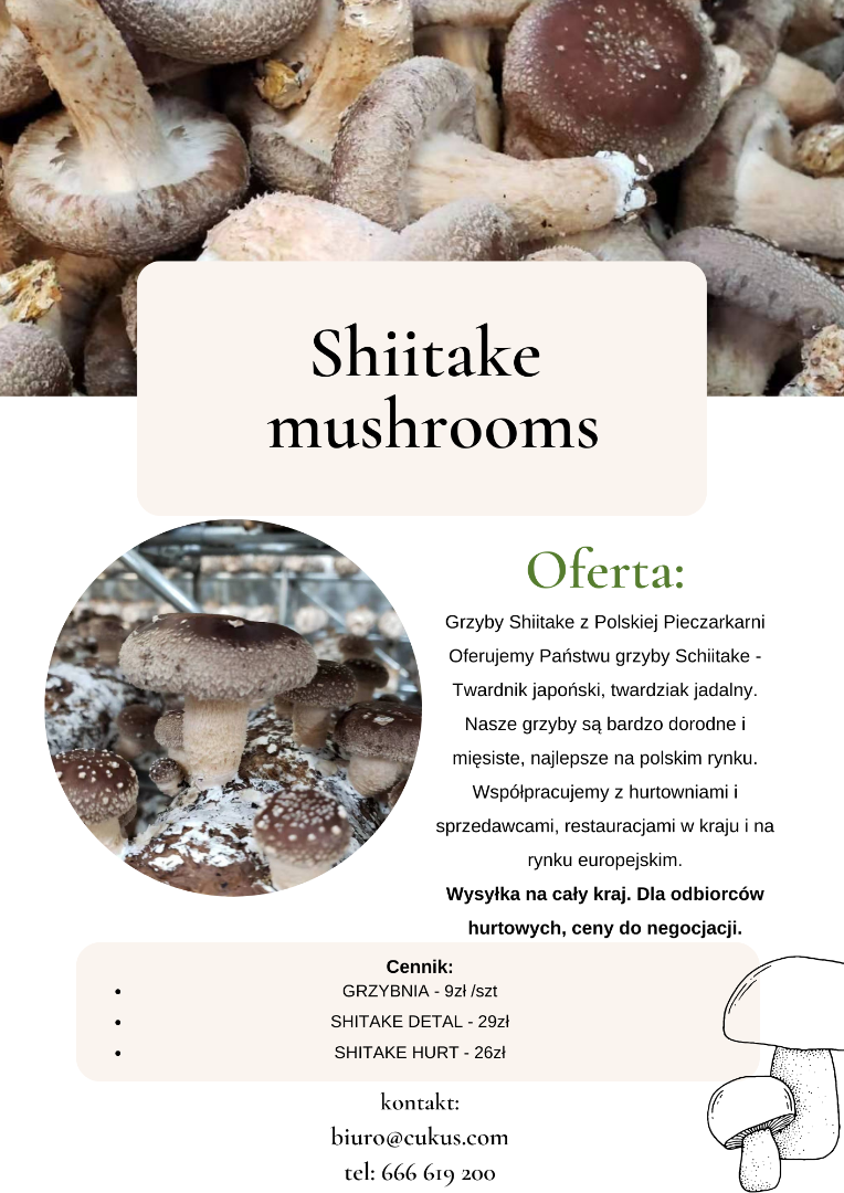 Shiitake mushrooms from the Polish Mushroom We offer you Schiitake mushrooms - Japanese shiitake, edible shiitake