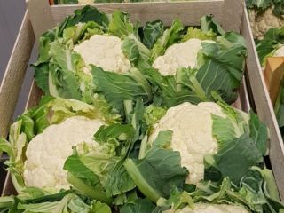 We have many vegetables for sale. We invite you