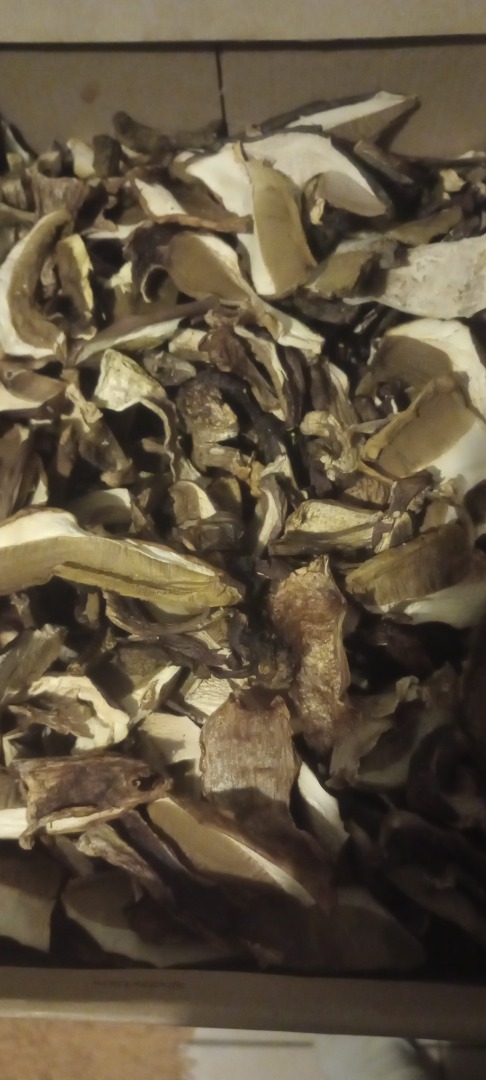 Mushrooms dried whole and sliced
