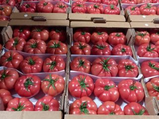 I will sell tomatoes, country of origin Turkey. I
