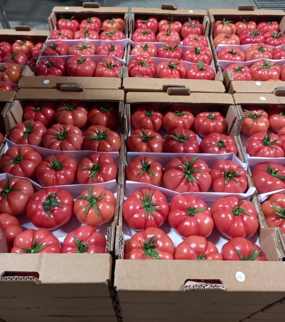 I will sell tomatoes, country of origin Turkey