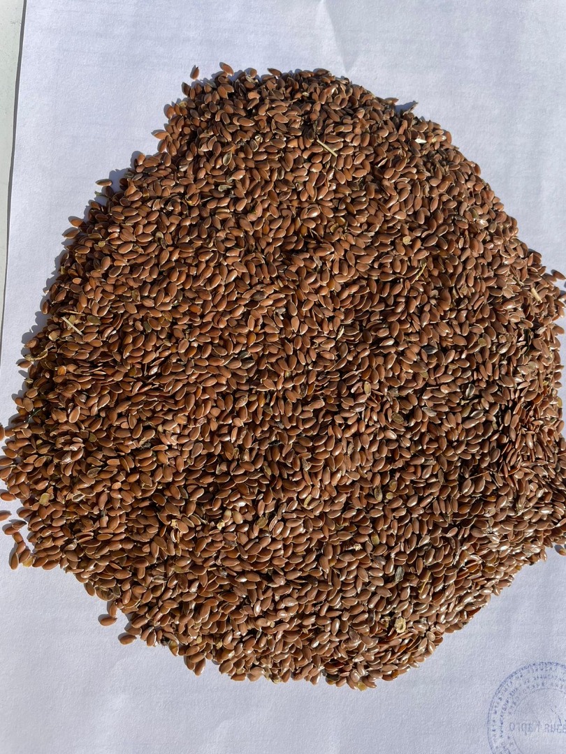 Brown and golden flax seeds