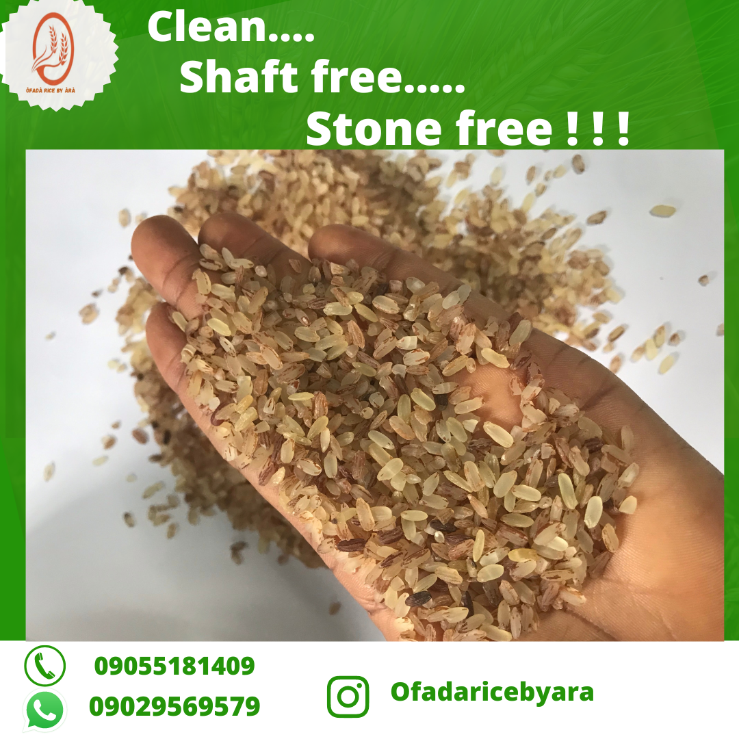 We are an agro based company, specialized in sales of raw stone free ofada rice and other complementary food items like dried iru (locust beans) , bleached