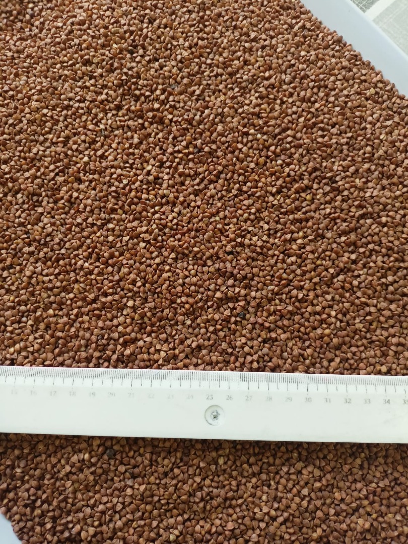 Our company is pleased to offer roasted buckwheat groats, the goods are directly from the manufacturer, they have been tested for pesticides and glyphosate