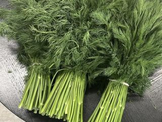 We will sell fresh dill and parsley from imports,