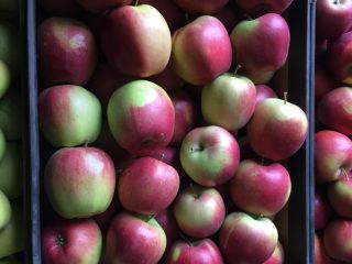 I will sell an organic apple with a dessert