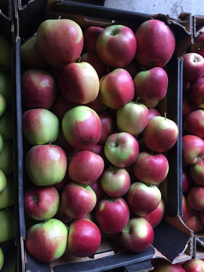 I will sell an organic apple with a dessert certificate and for processing