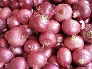 We are selling Red Onion Cal 5+ from romanian