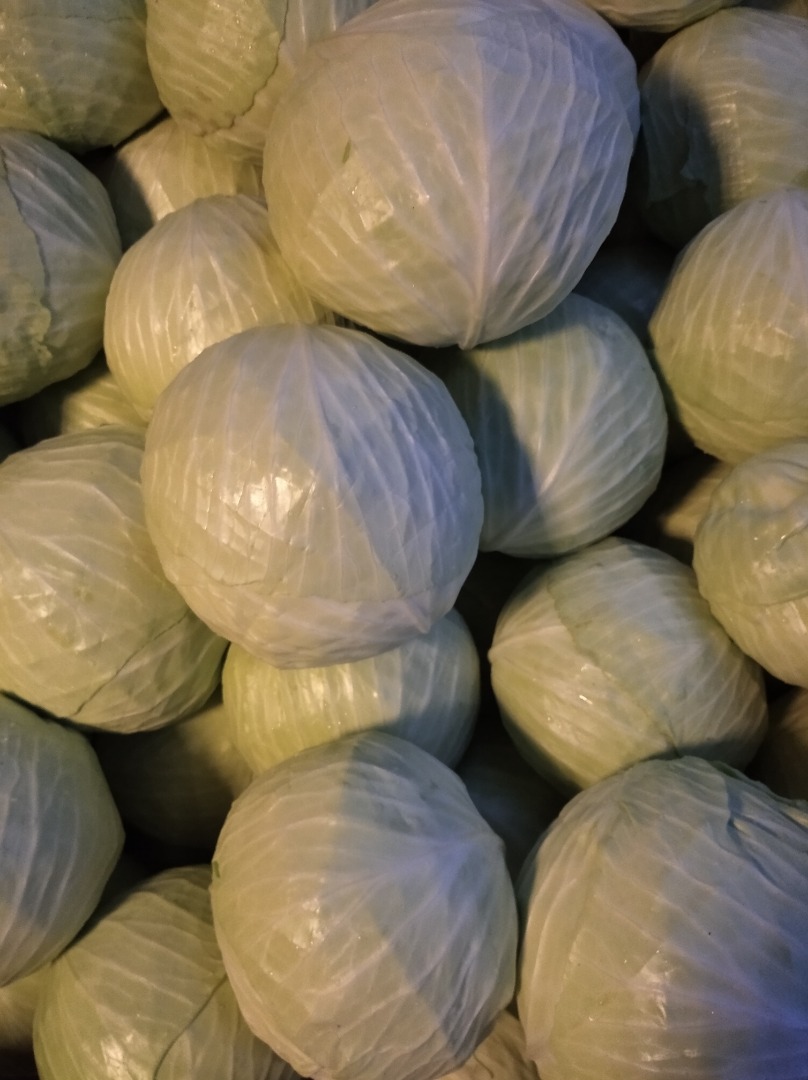 Adelco white cabbage for sale