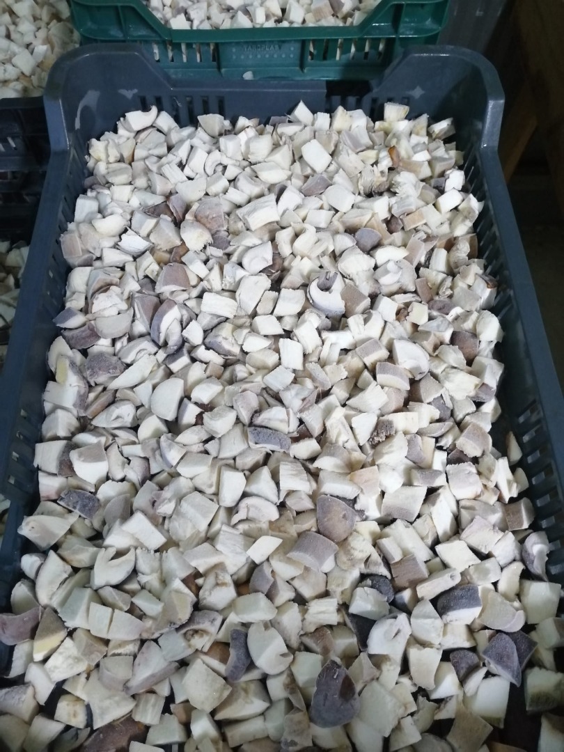 To offer instead of about 10 tons of frozen porcini, cubes and whole