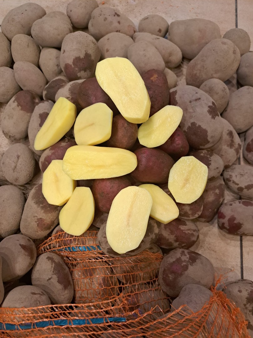 We sell red and yellow potatoes in large quantities