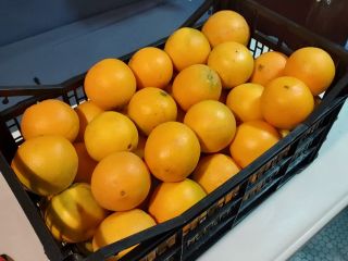 I will sell Spanish orange neveline sweet, juicy and