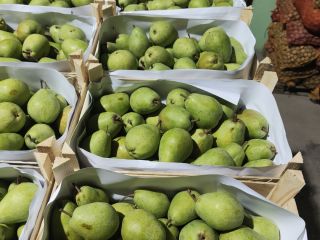 I will sell Gruszka lukasòwka Netherlands truck quantities any