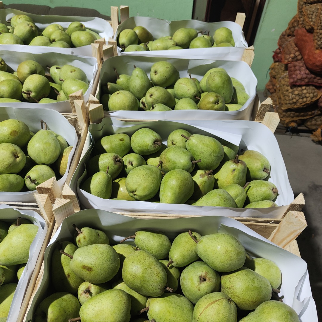 I will sell Gruszka lukasòwka Netherlands truck quantities any packaging price from 2.80 to 3.30 contact