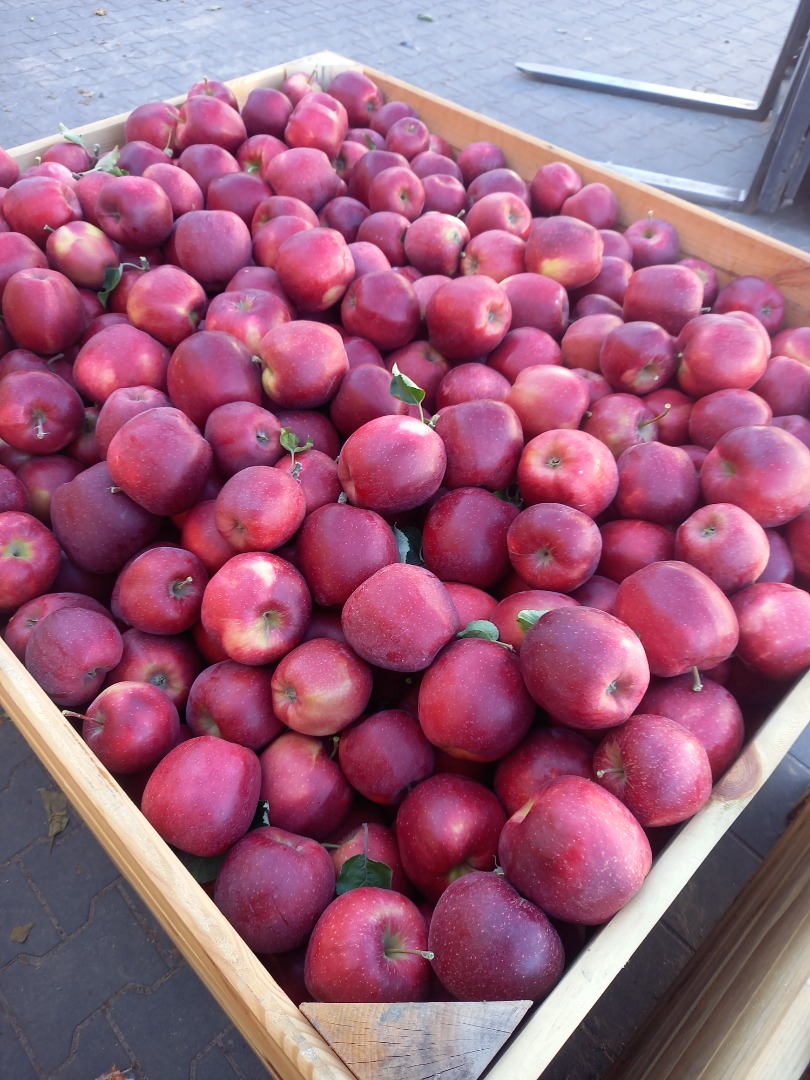 I am a producer of high quality apples of different varieties