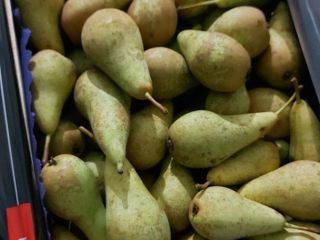 Hello. I will sell pear conferences