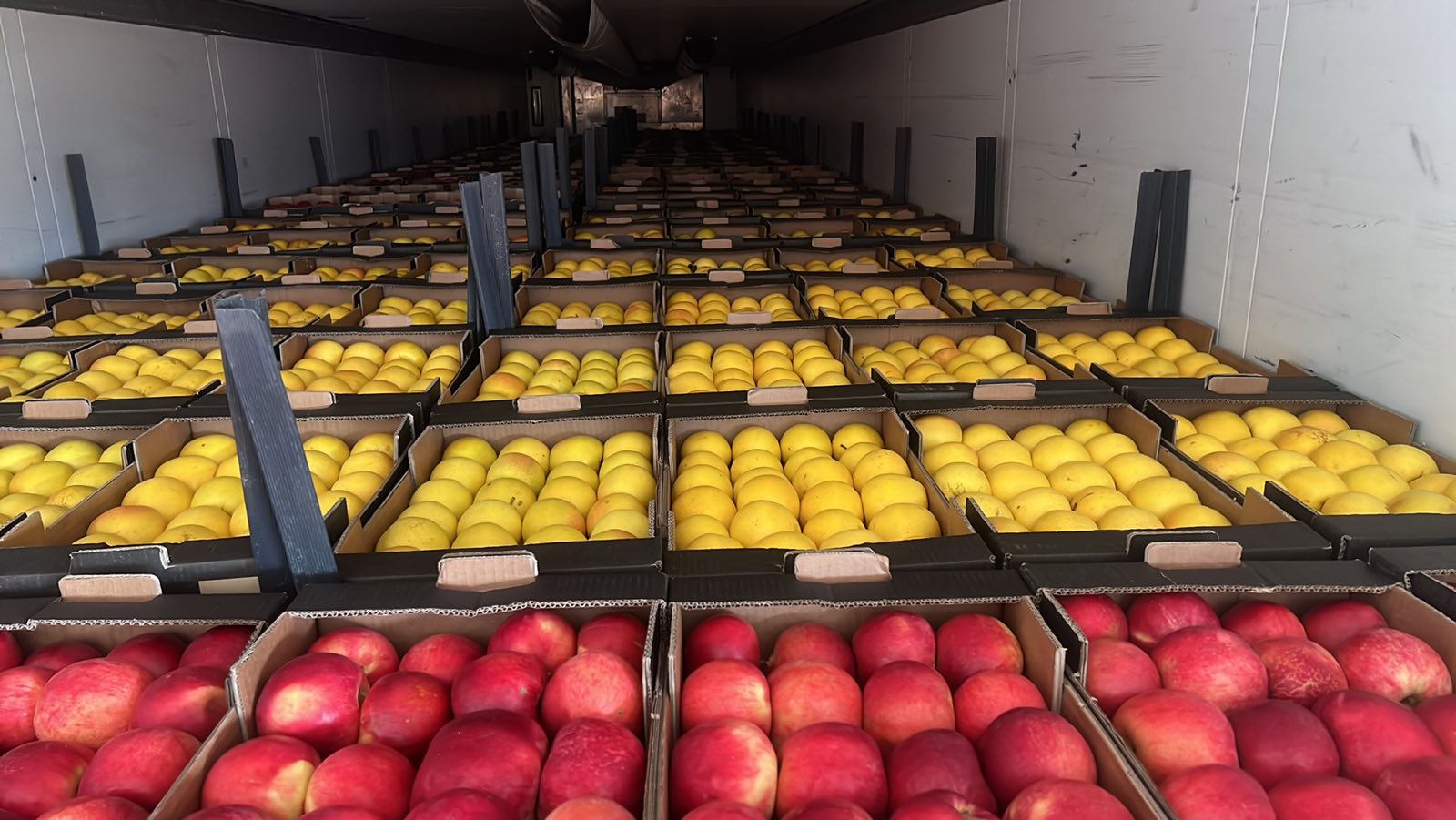 WE SELL WHOLESALE ALL TYPES OF APPLES