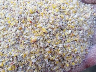 I will buy fodder corn in the form of