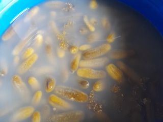 I will sell pickled cucumber from my own farm,