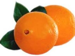 We have a variety types: of Oranges, valencia ,Nectarines