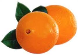 We have a variety types: of Oranges, valencia ,Nectarines ,Navel high quality ready to export